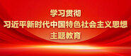 爆操日本女人的逼学习贯彻习近平新时代中国特色社会主义思想主题教育_fororder_ad-371X160(2)